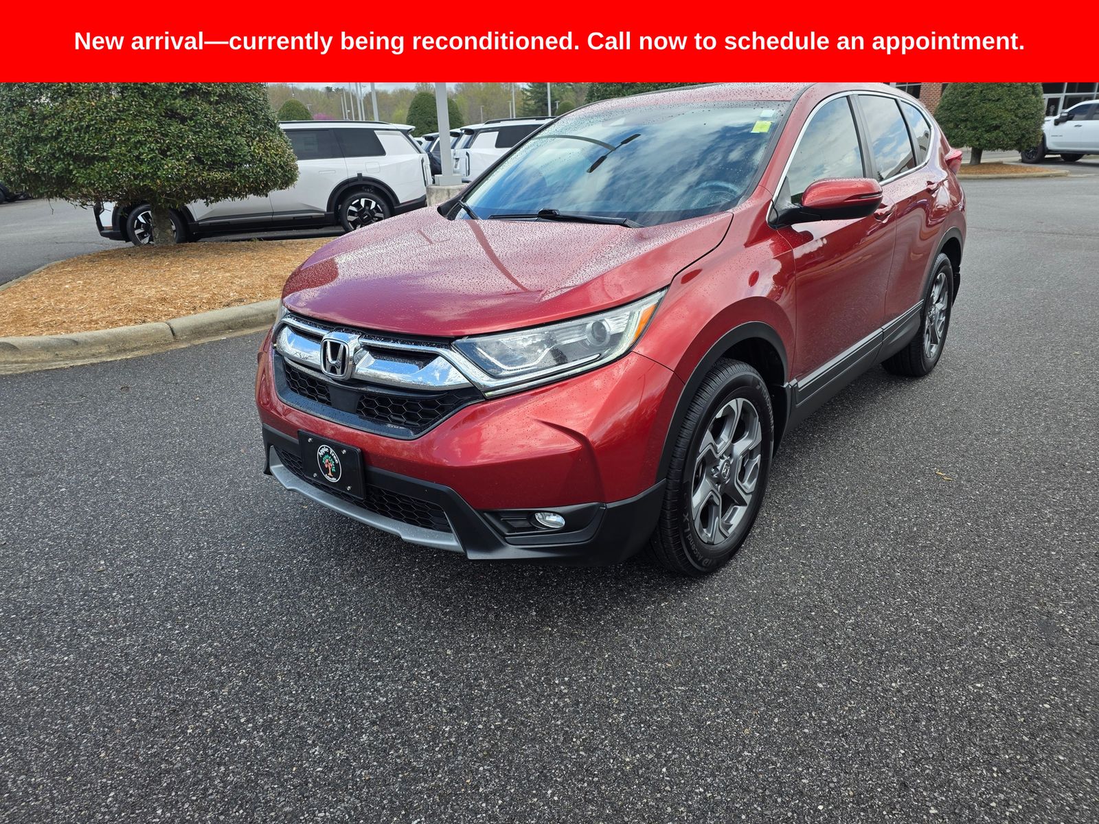 2019 Honda CR-V EX AWD SUV / Crossover All-Wheel Drive Continuously Variable Transmission