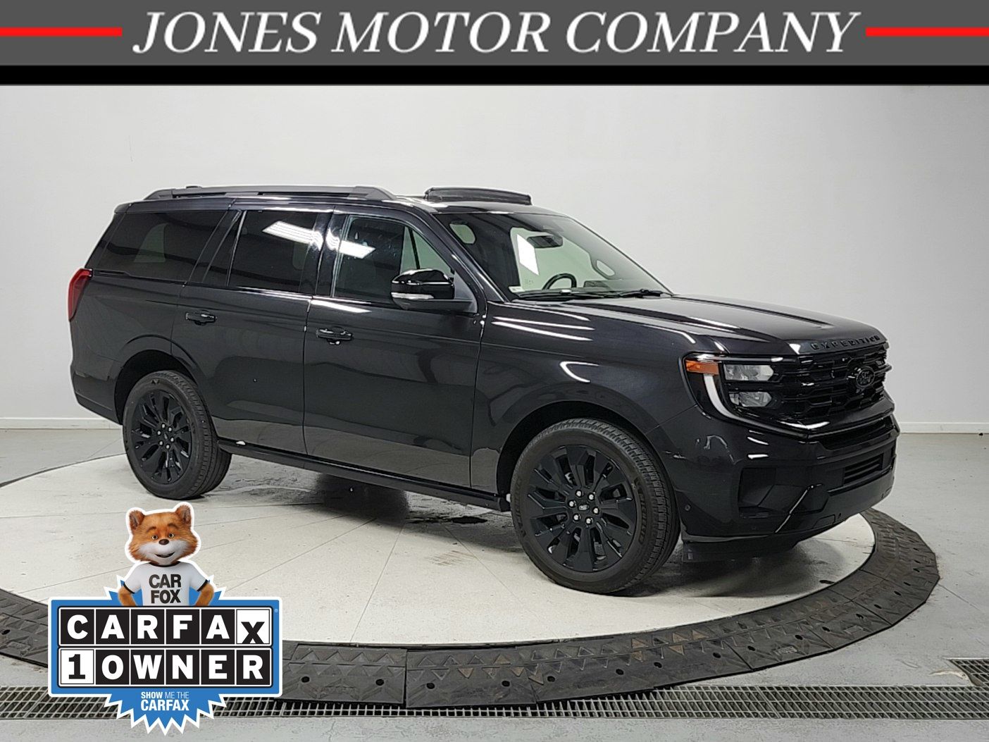 Dark Matter Gray Metallic 2025 Ford Expedition Platinum 4WD SUV / Crossover Four-Wheel Drive Automatic