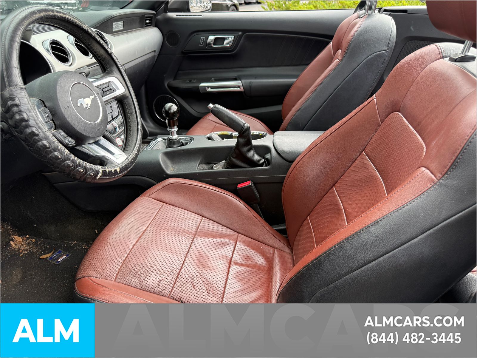 Used 2016 Guard Metallic Ford EcoBoost Premium image 9