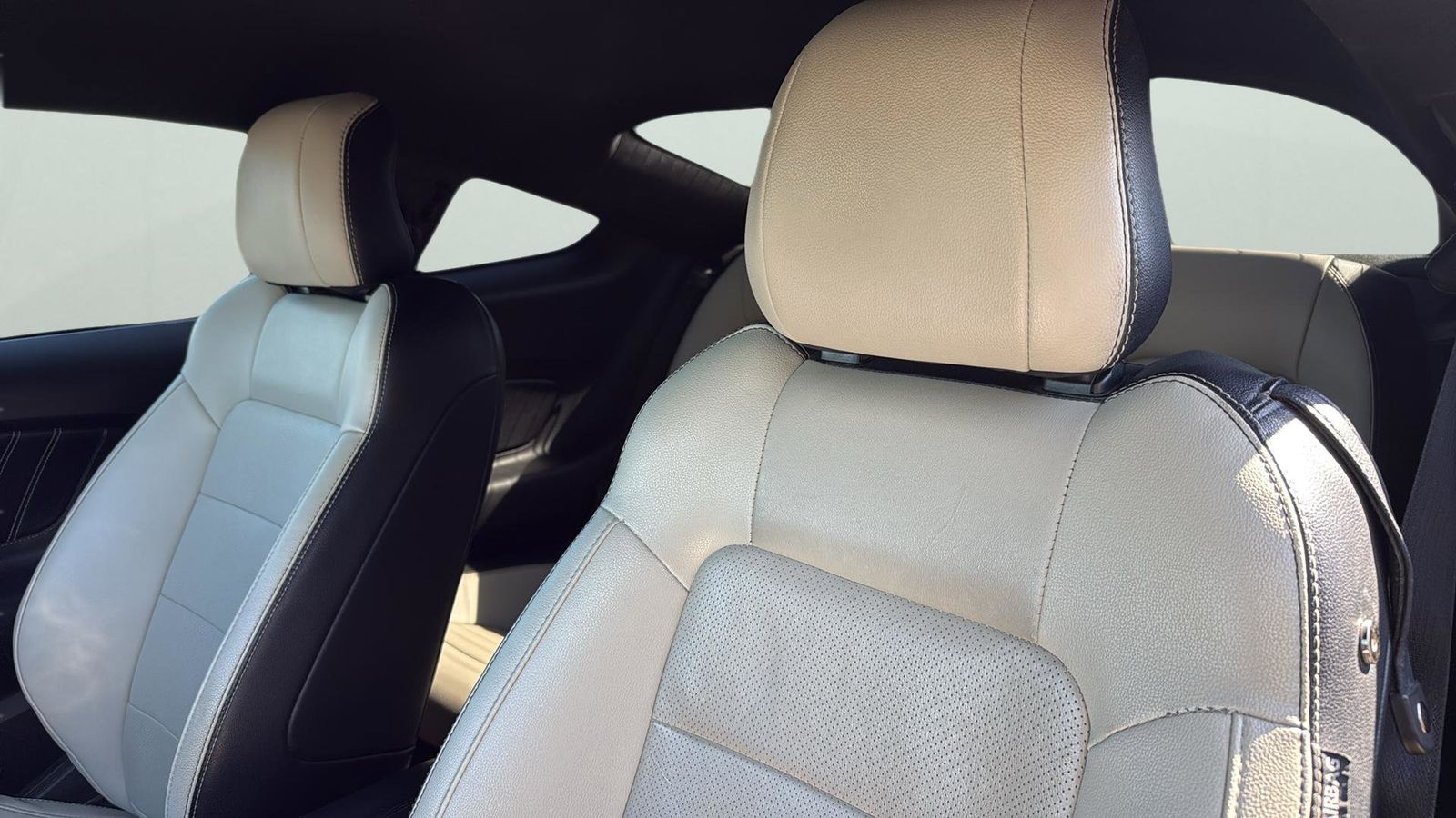 Used Car 2017 Ford Mustang  Ecoboost Premium For Sale Under $25,000 In Austin, Texas