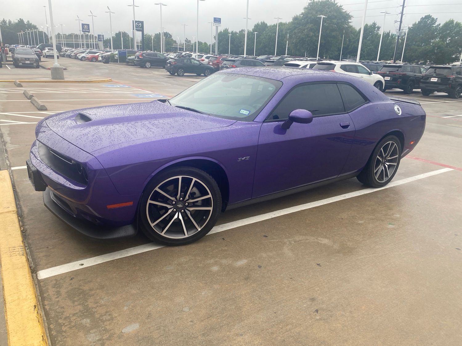 car-gallery-1