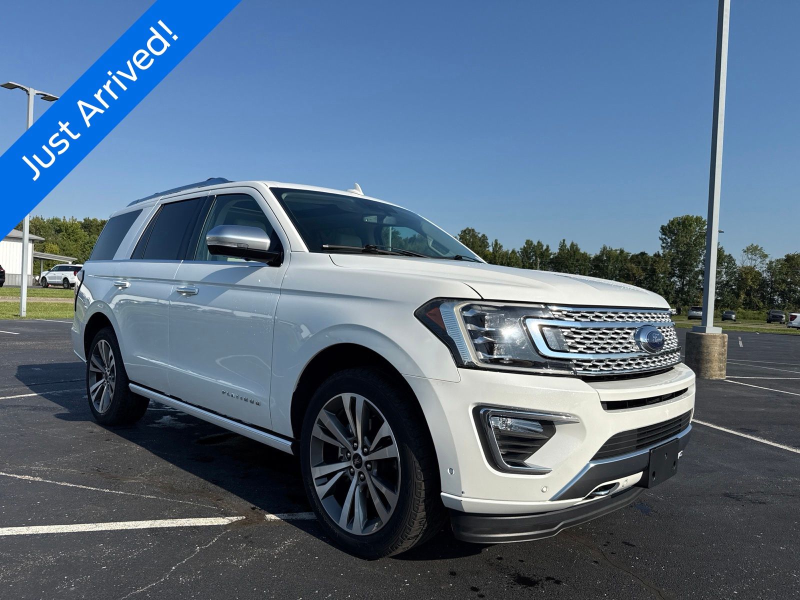 2020 Ford Expedition image 12