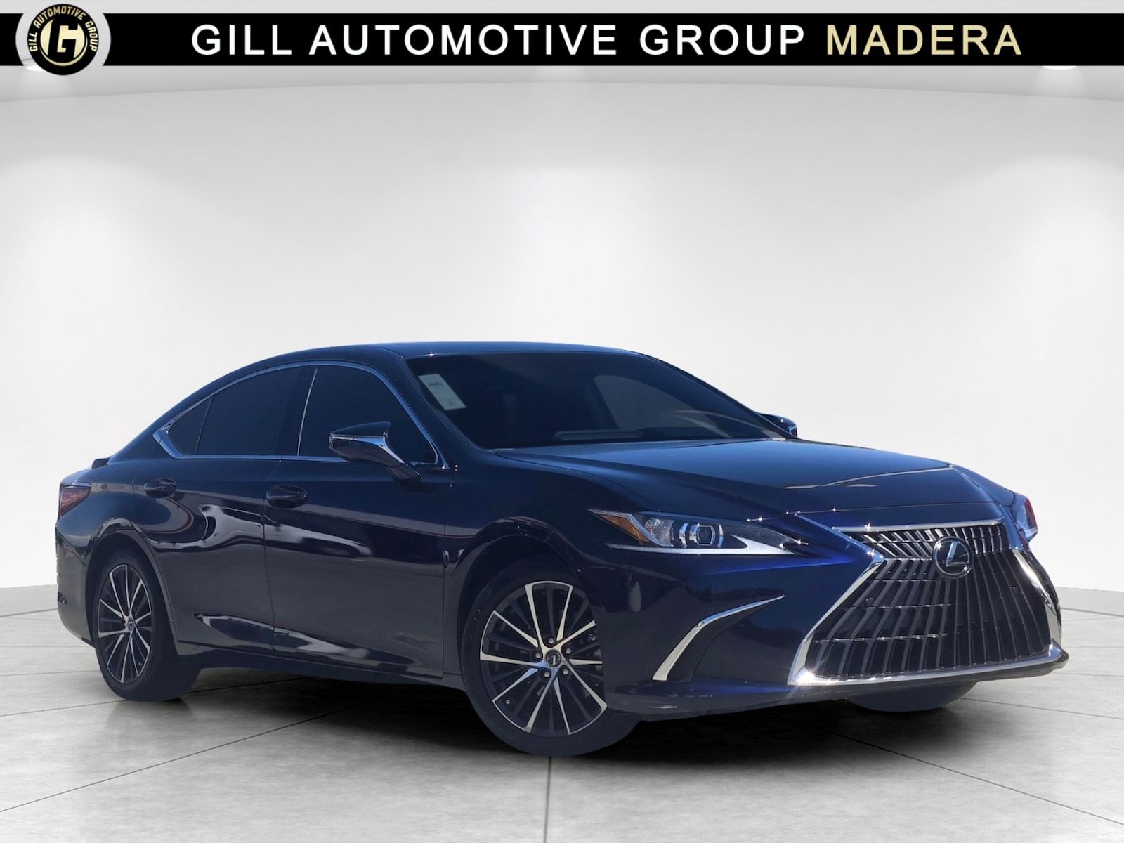 2025 Lexus ES 300h
