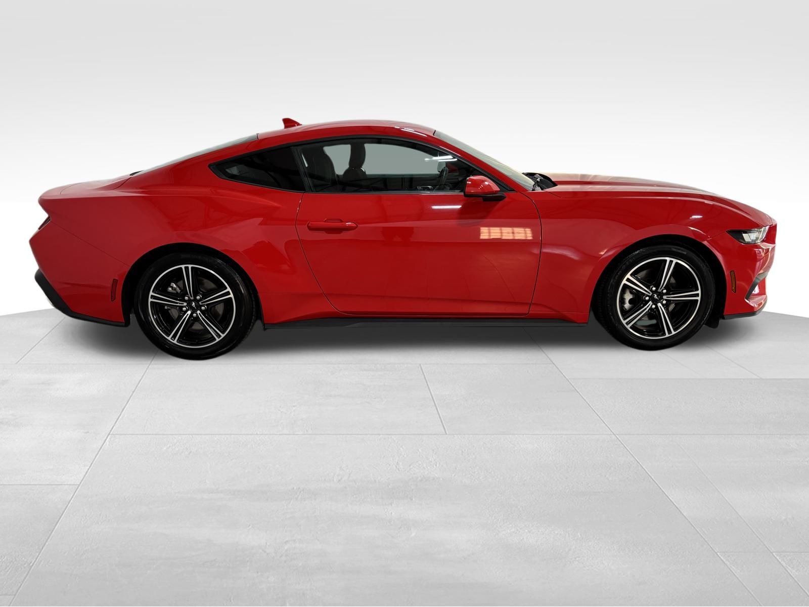 Used Car 2024 Ford Mustang  Ecoboost For Sale Under $30,000 In Austin, Texas