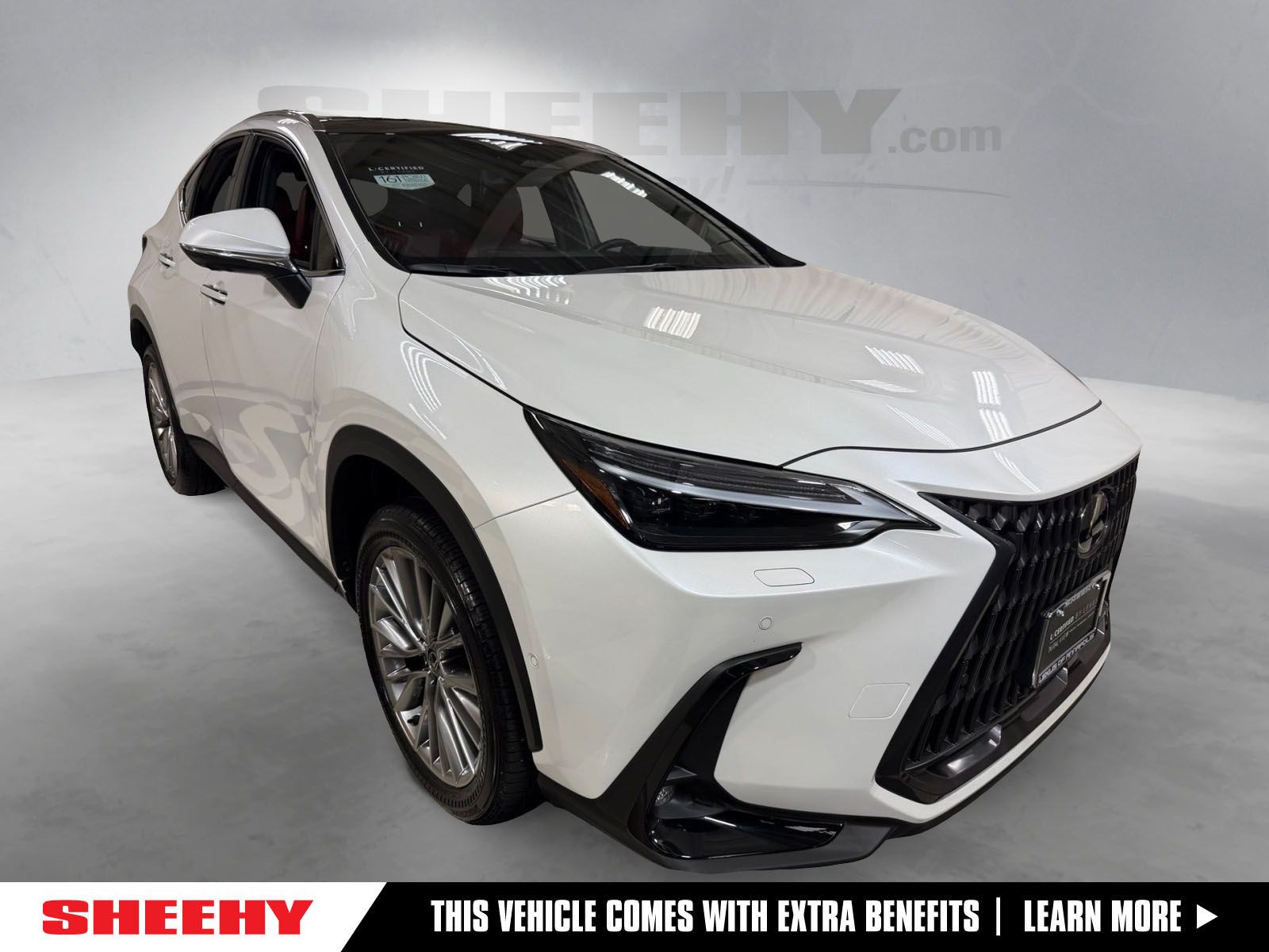 2025 Lexus NX 350 Luxury