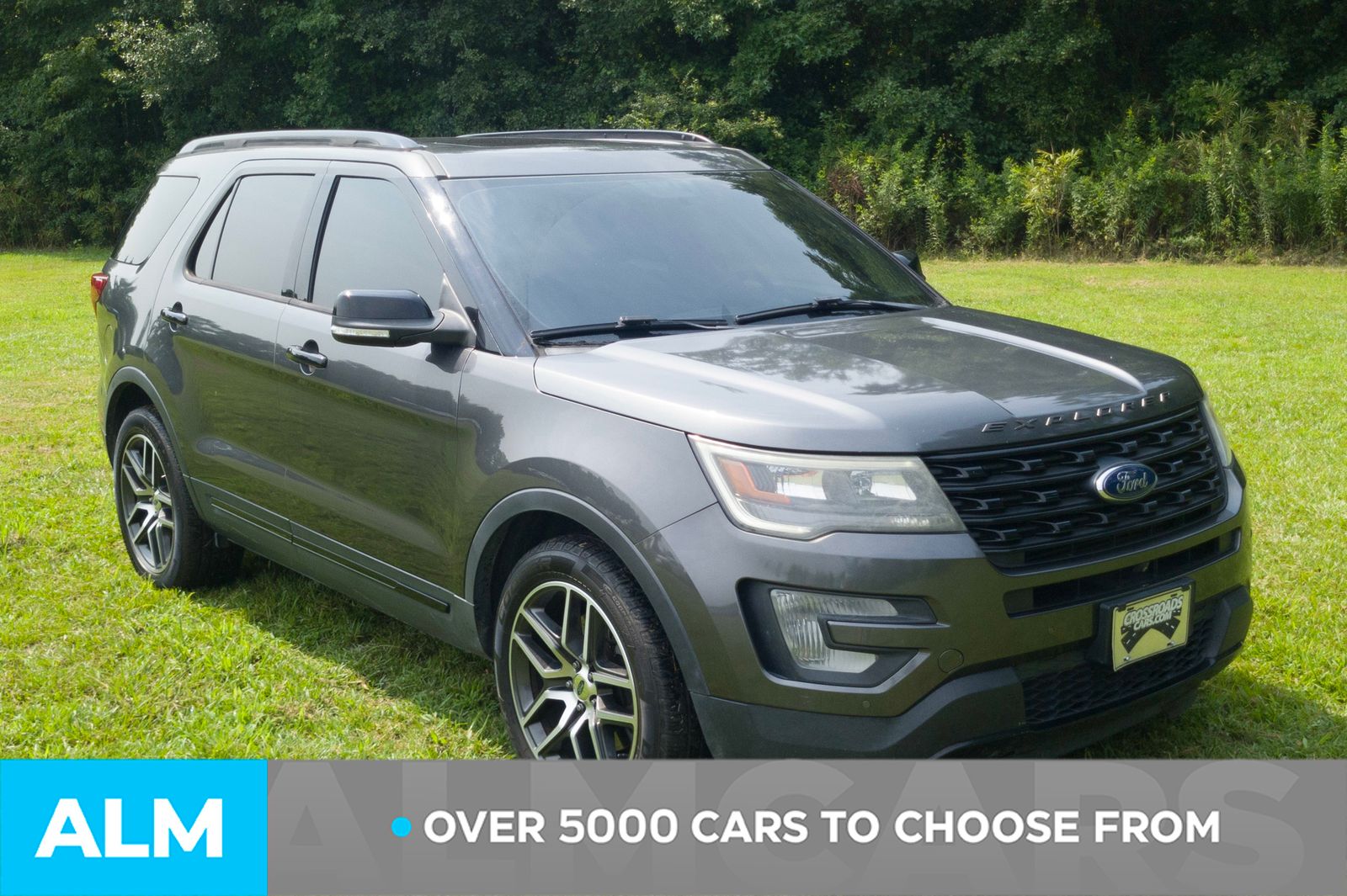 Used 2017 Magnetic Ford Sport image 2