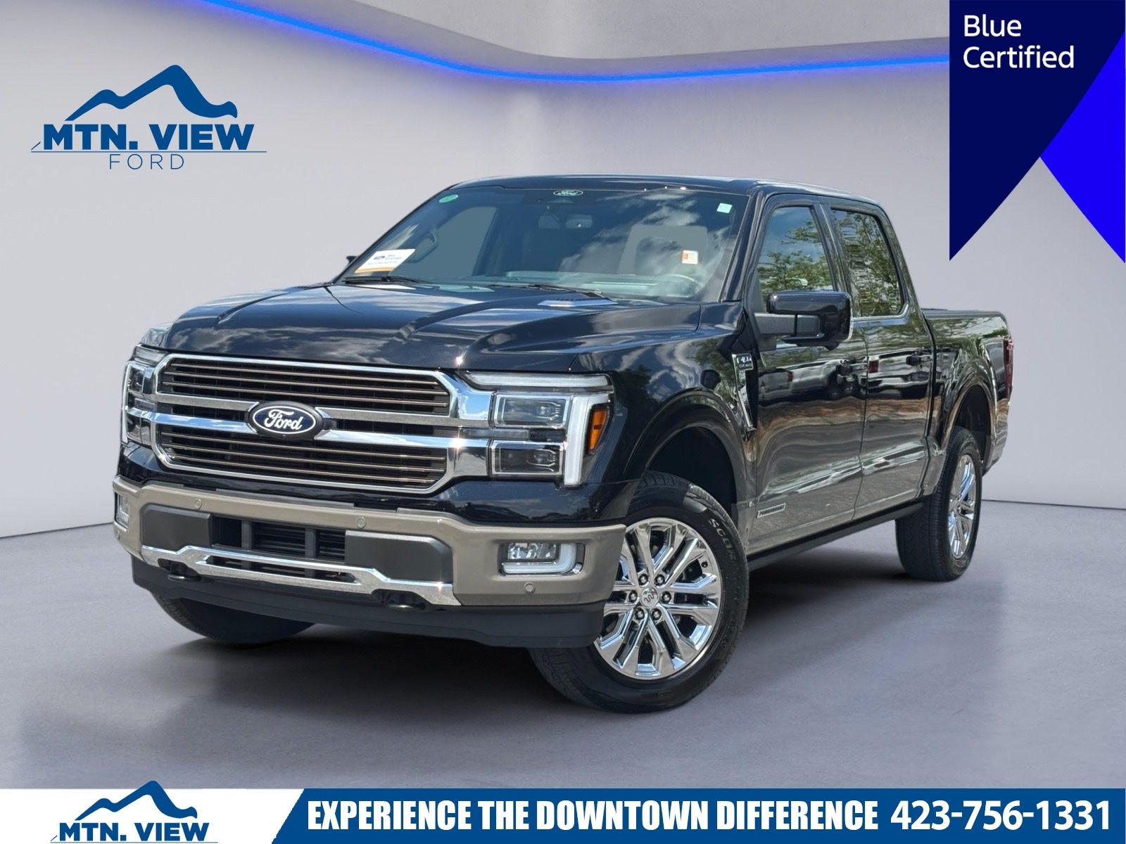 Black Metallic 2025 Ford F-150 Pickup Truck Four-Wheel Drive Automatic
