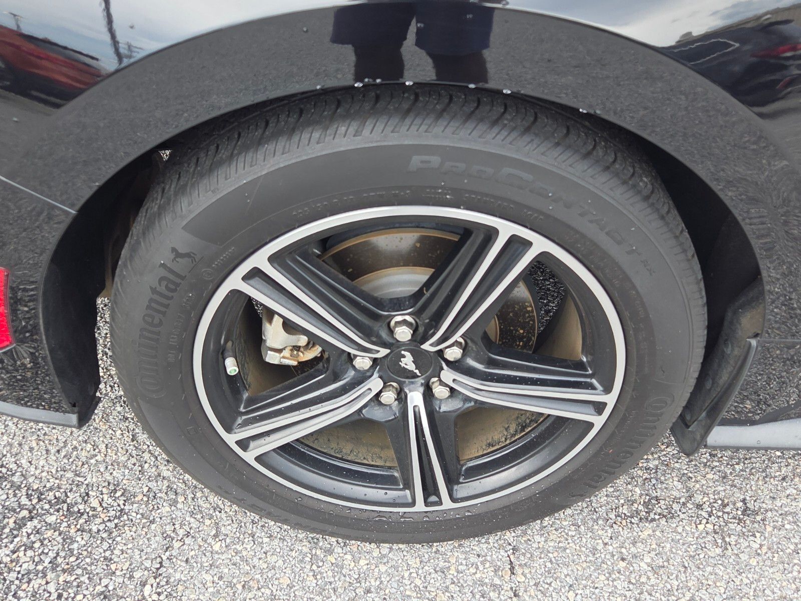 Used 2024 Black Ford EcoBoost image 3