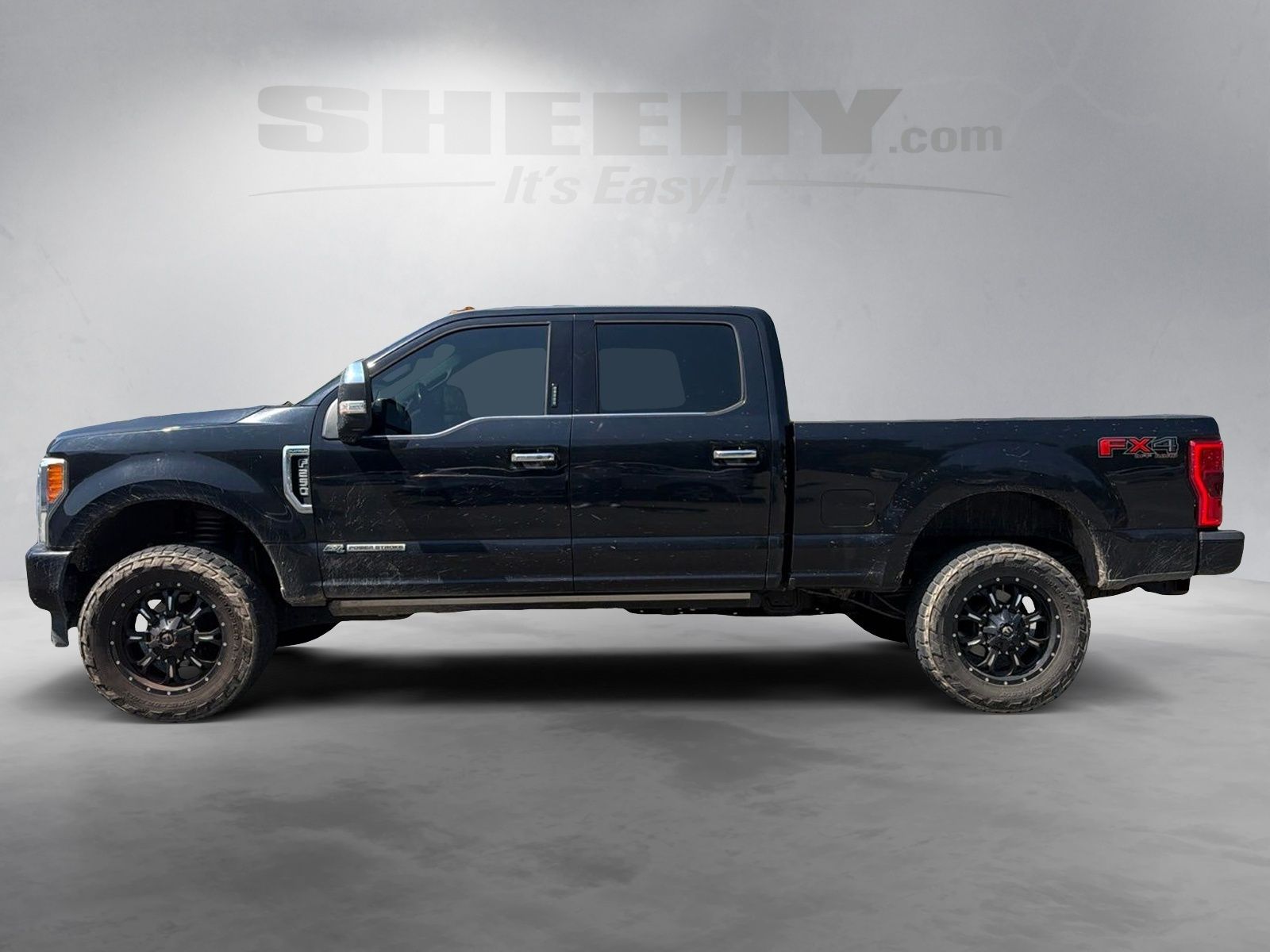 Used 2019 Black Ford Platinum image 14