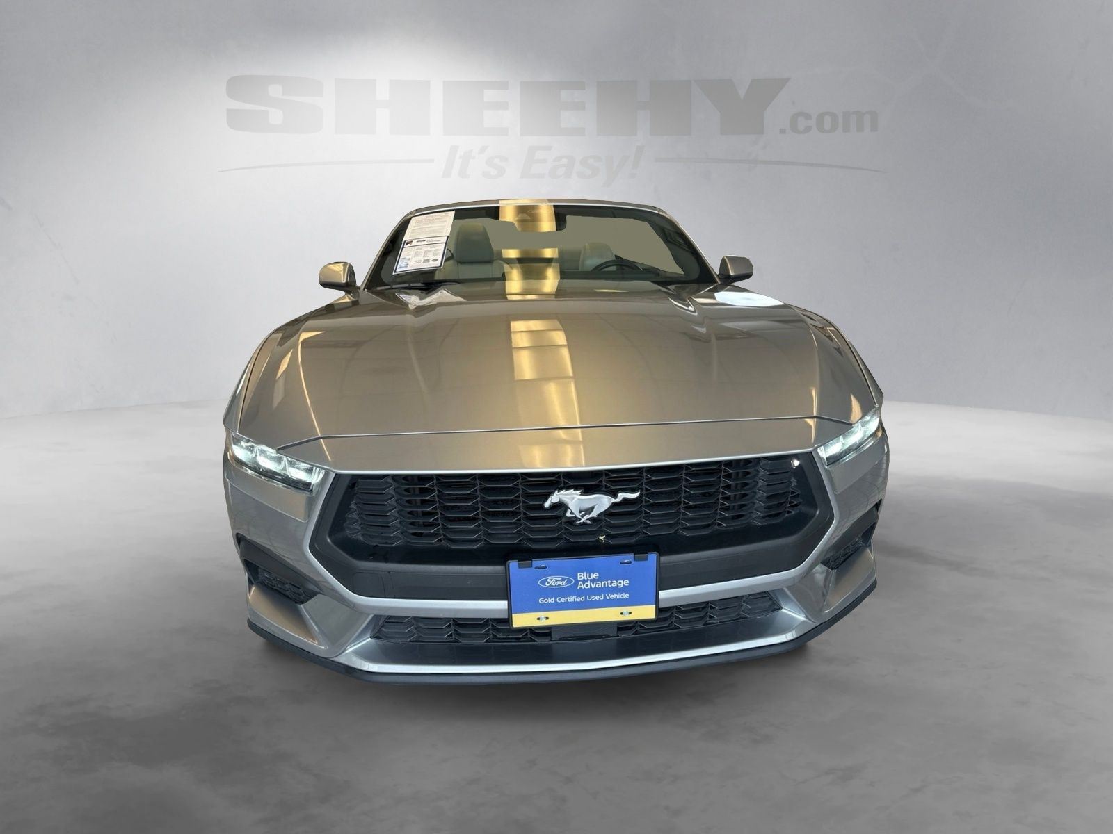 Certified Used 2024 Silver Metallic Ford EcoBoost Premium image 16