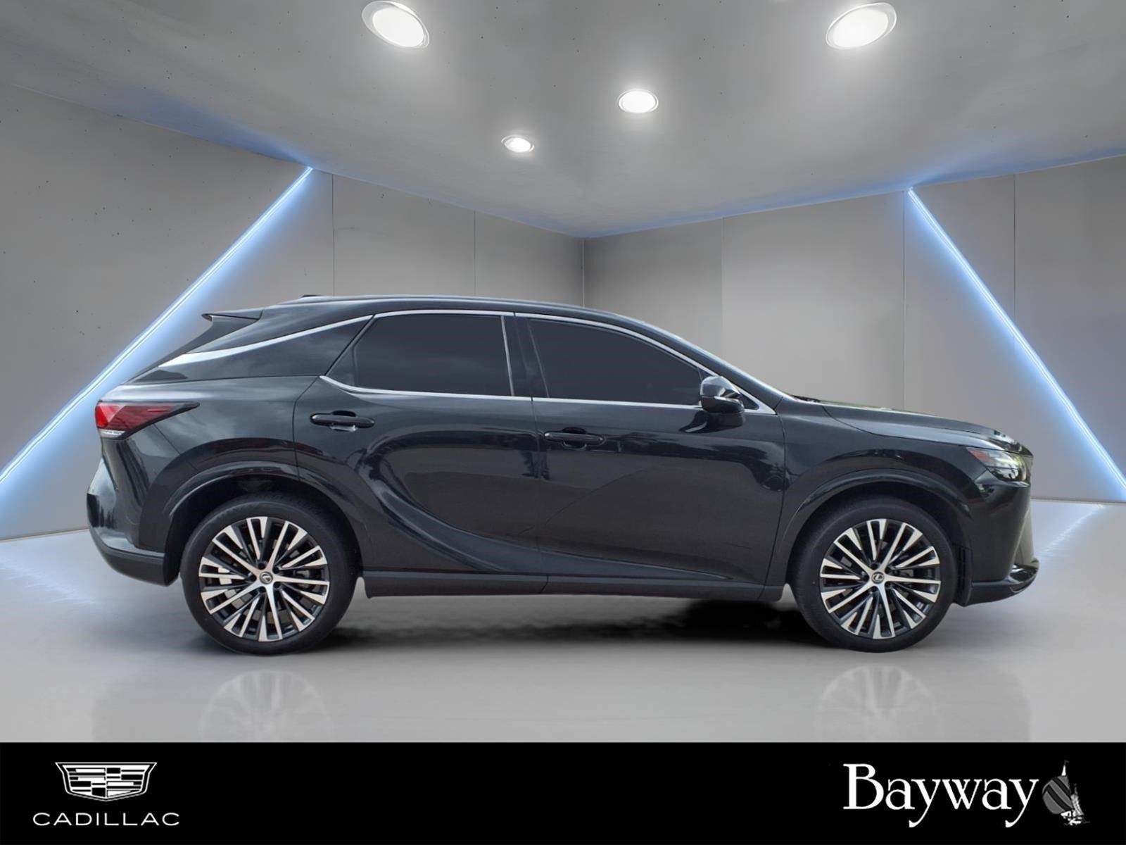 2023 Lexus RX 350 Premium Plus - 5