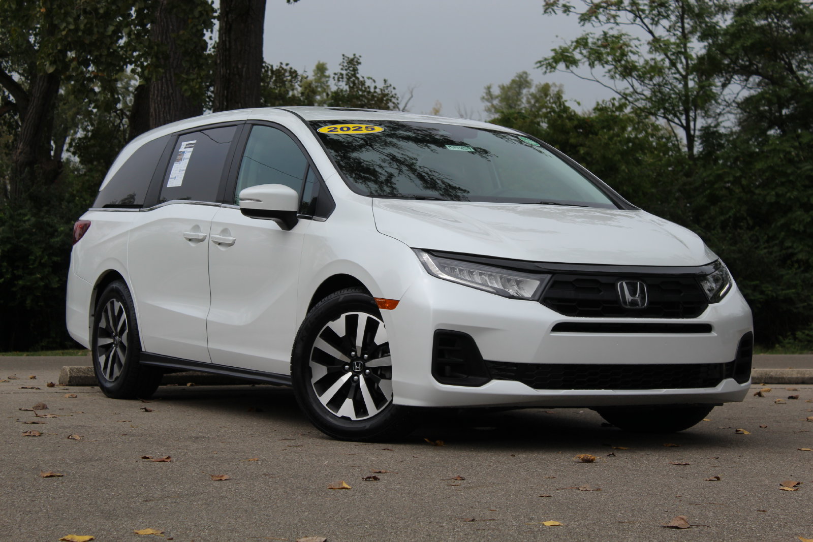  2025 Honda Odyssey EX-L FWD   