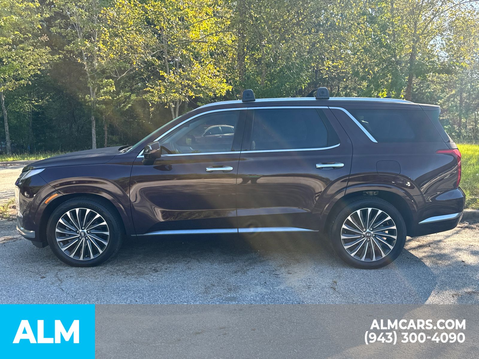 2023 Hyundai Palisade Calligraphy 10