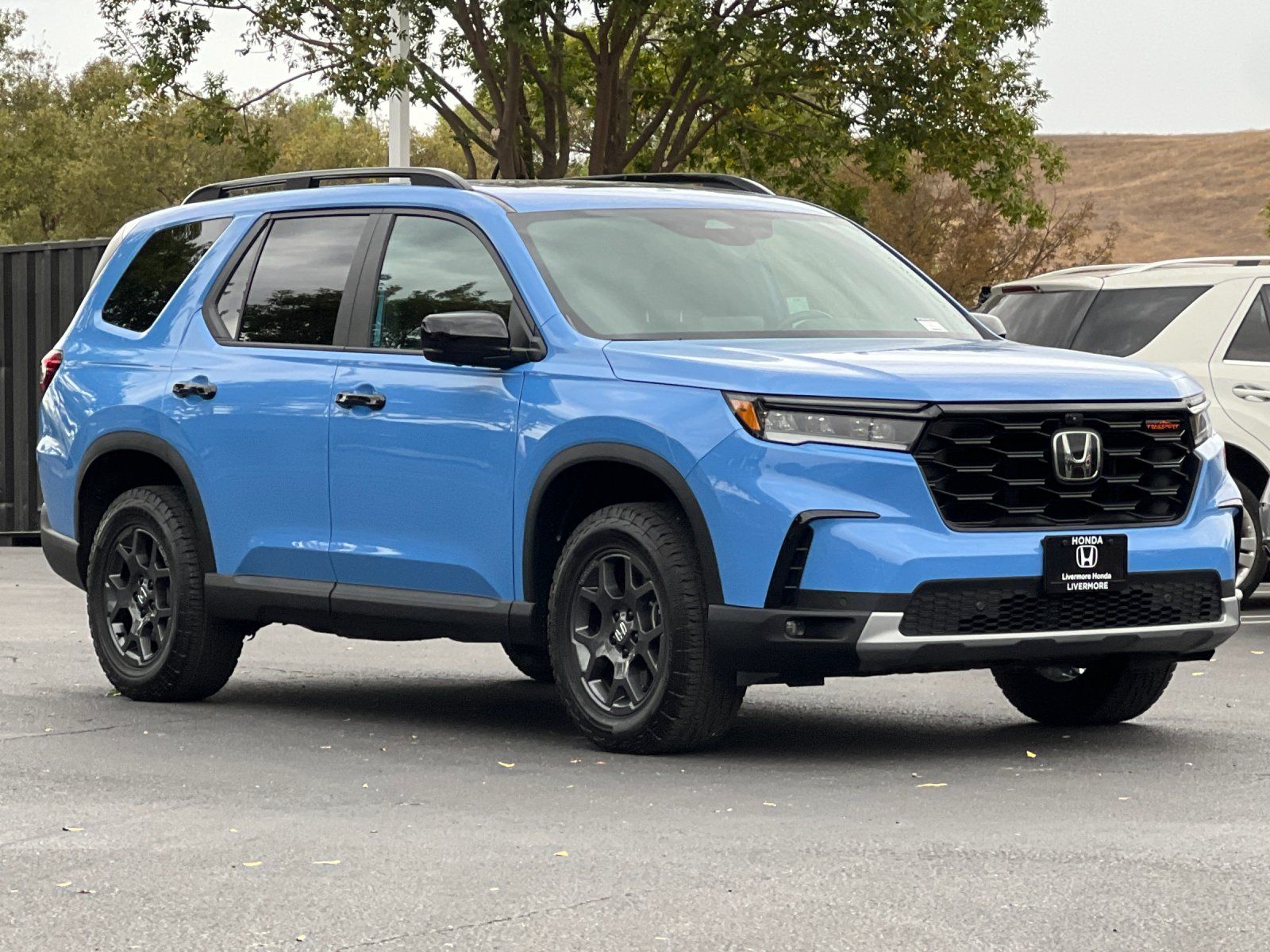2025 Honda Pilot TrailSport — full photo 8 of 29