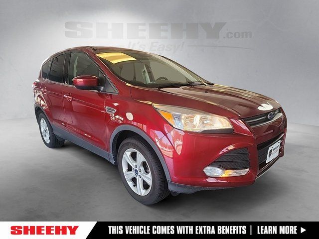 2016 Ford Escape SE 4WD's photo