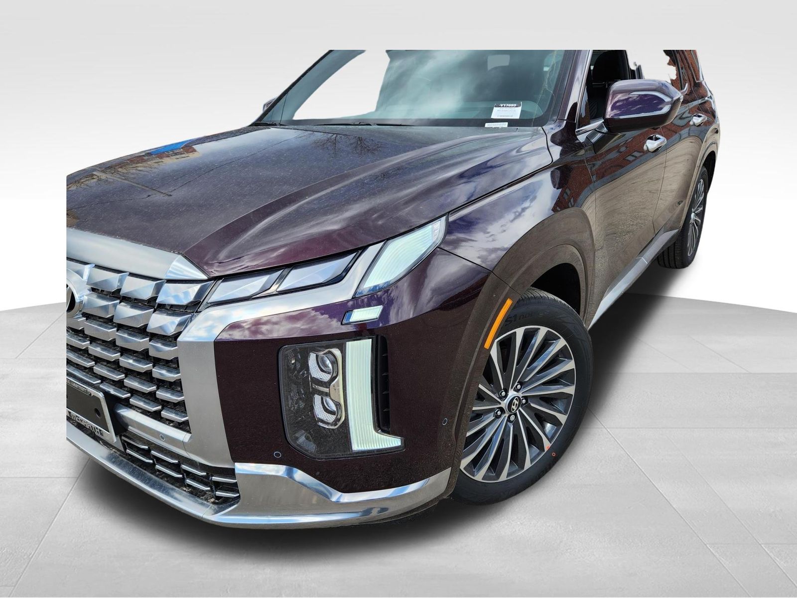 2024 Hyundai Palisade Calligraphy 10