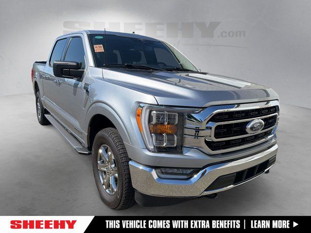 2023 Ford F-150 XLT 4x4 SuperCrew 5-1/2 Box's photo