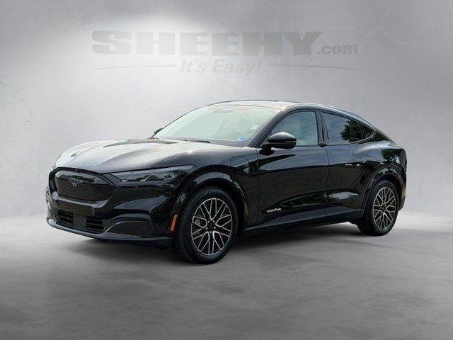 Certified Used 2025 Shadow Black Ford Premium image 14