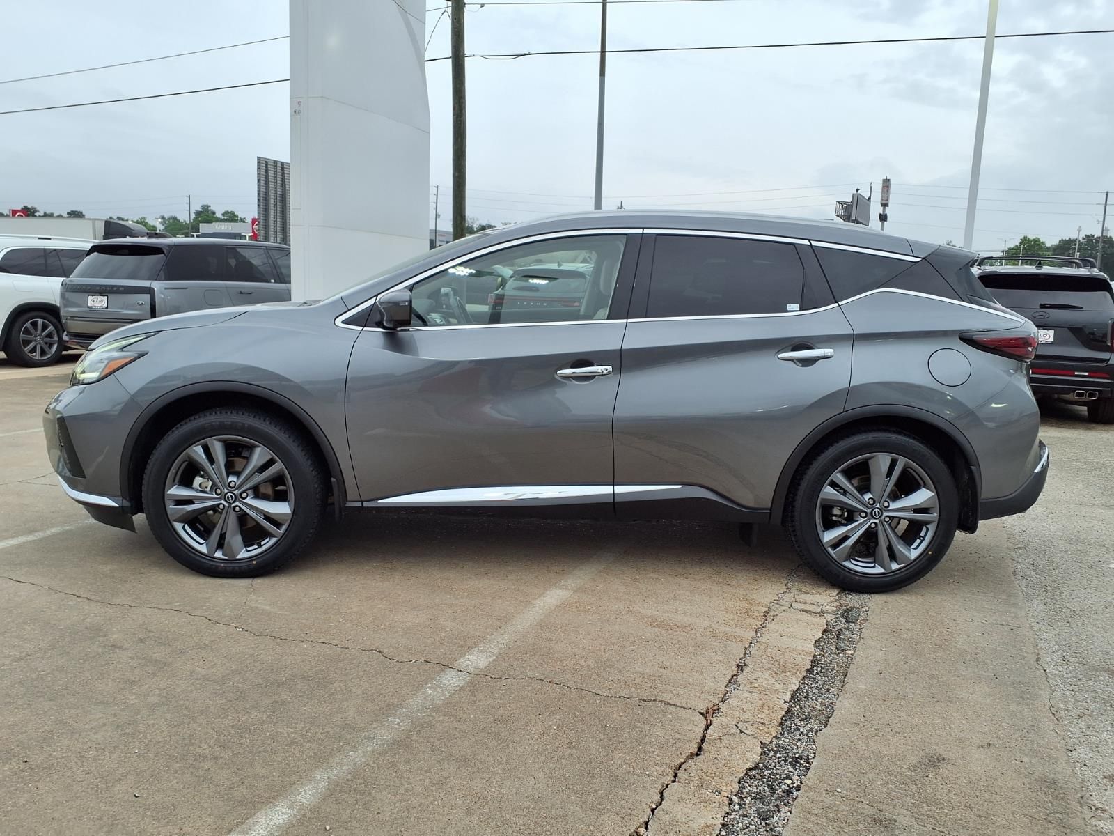 2023 Nissan Murano Platinum Gray at Central Houston Nissan