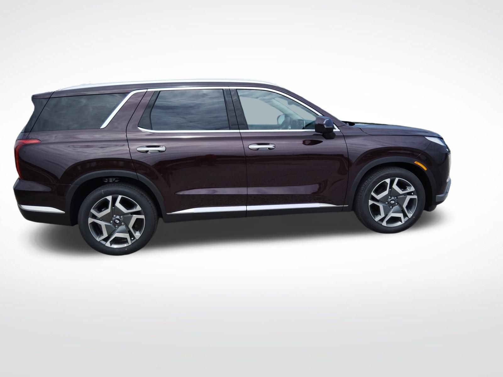 2024 Hyundai Palisade Limited 9