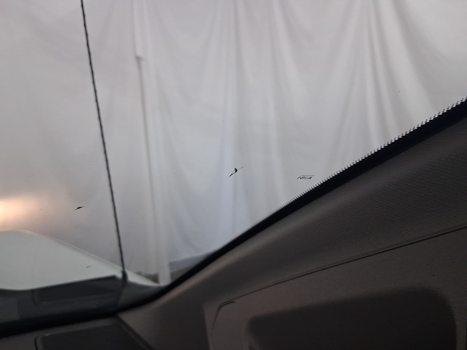 Used Car 2020 Chevrolet Silverado 1500  Wt For Sale Under $20,000 In Austin, Texas