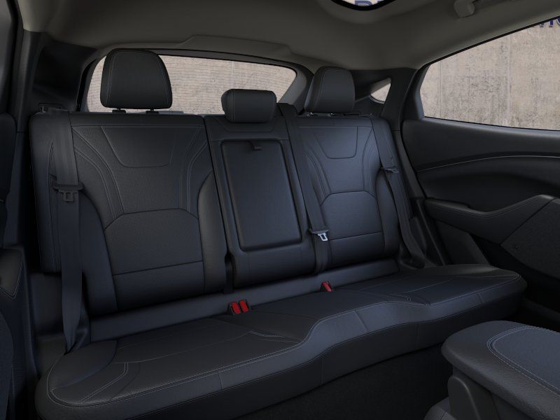 New 2026 Shadow Black Ford Premium image 11