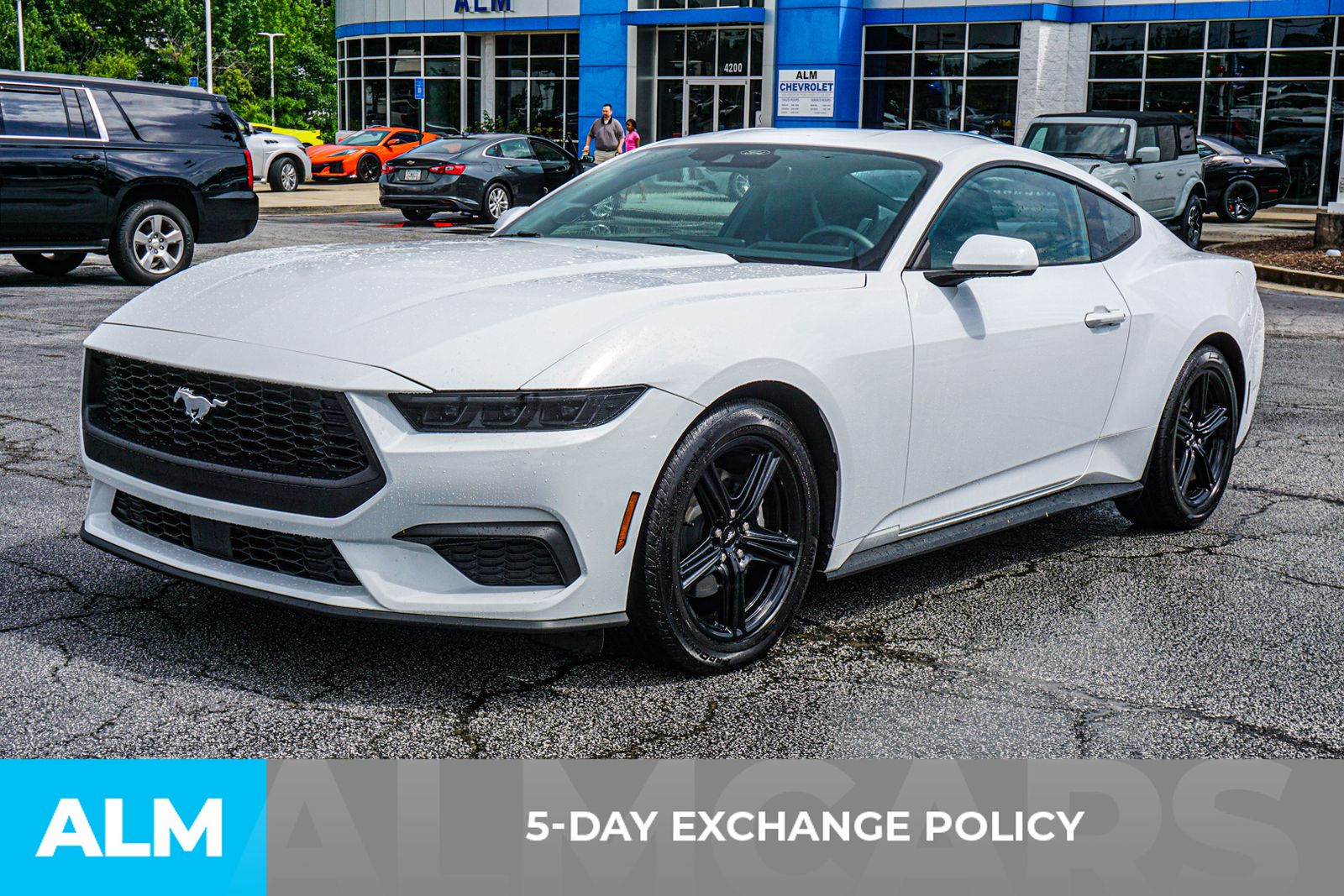 Used 2026 White Ford EcoBoost Premium image 4