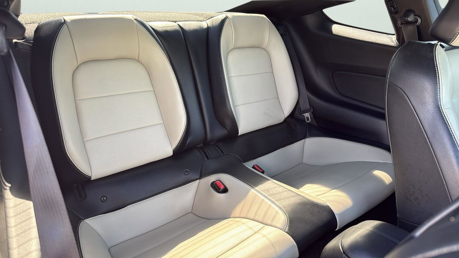 Used Car 2017 Ford Mustang  Ecoboost Premium For Sale Under $25,000 In Austin, Texas