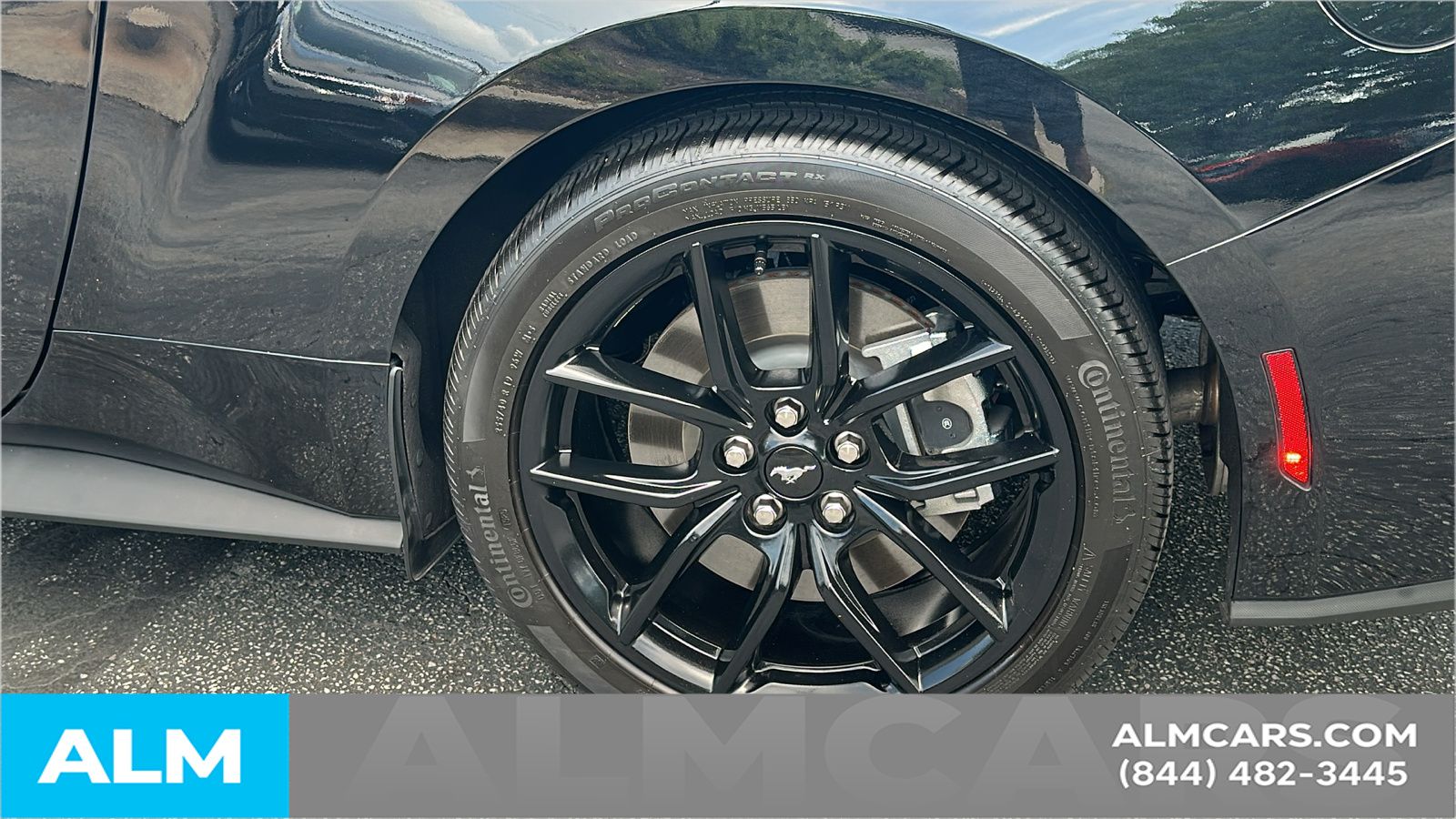 Used 2025 Black Ford GT image 20