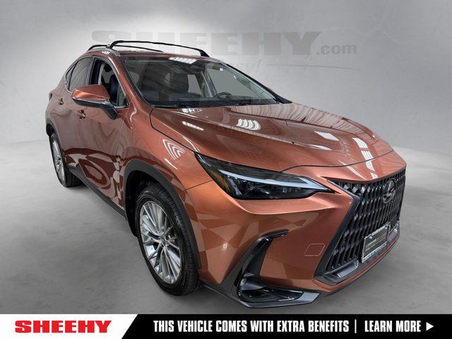  2025 Lexus NX Hybrid 350h Premium AWD   