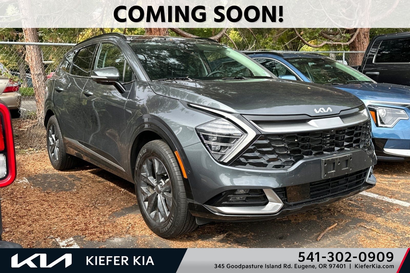 Gravity Gray 2024 Kia Sportage Hybrid SUV / Crossover All-Wheel Drive 6-Speed Automatic