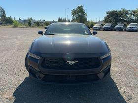 Used 2024 Black Ford EcoBoost image 2