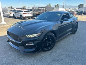 Shadow Black 2016 Ford Mustang Shelby GT350 Coupe Rear-Wheel Drive 6-Speed Manual