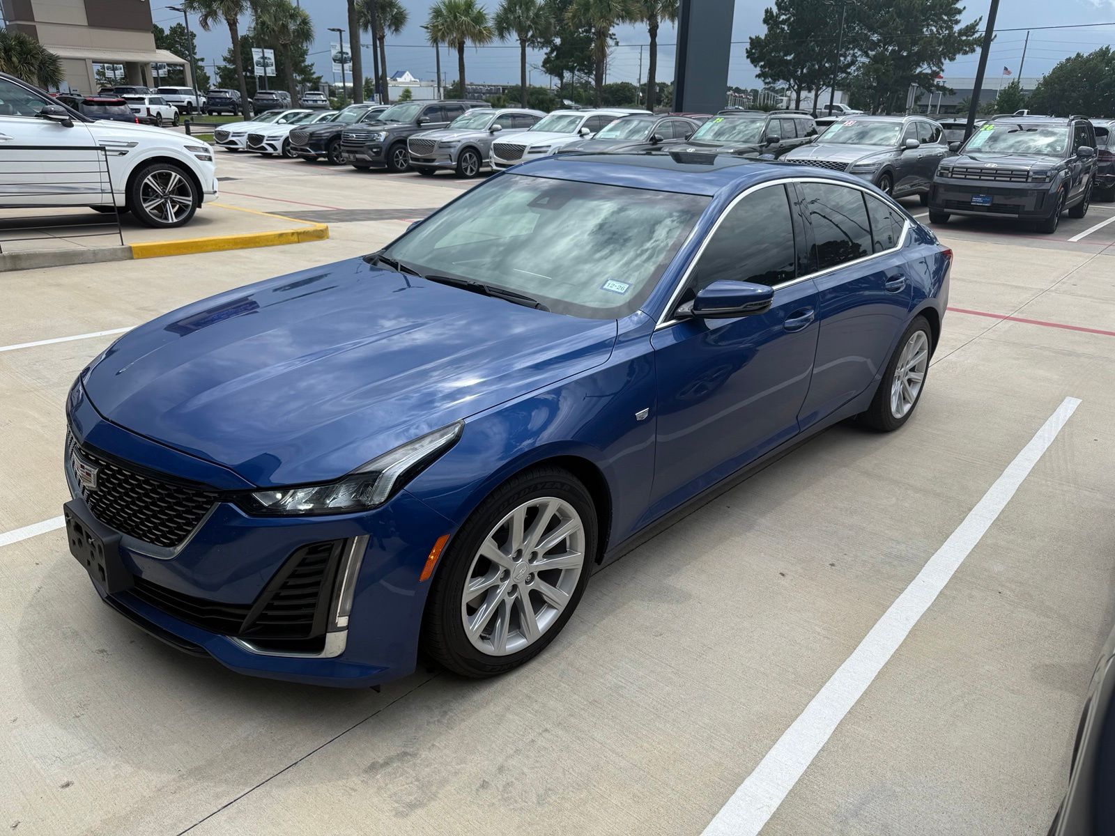 car-gallery-1