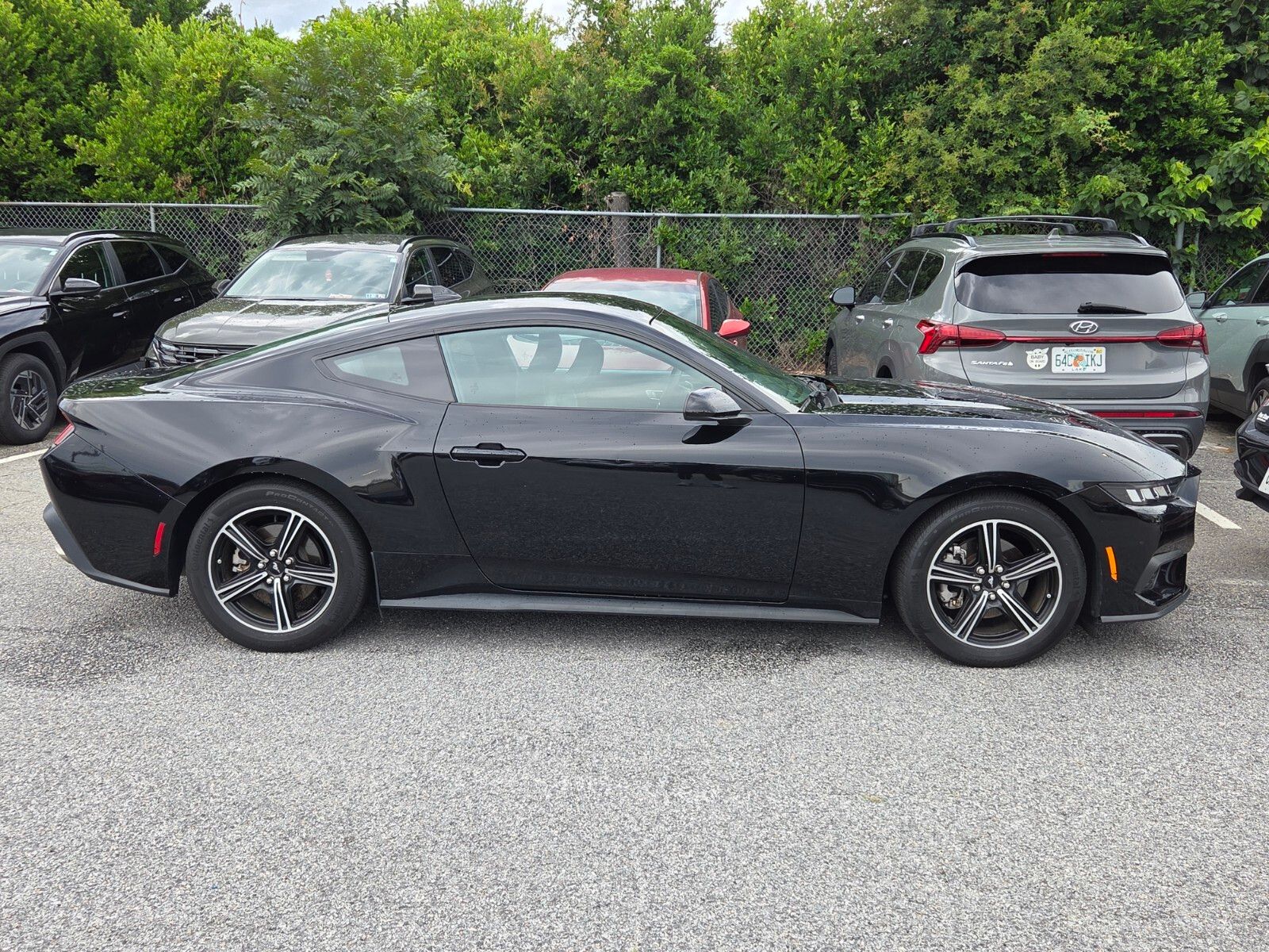 Used 2024 Black Ford EcoBoost image 2