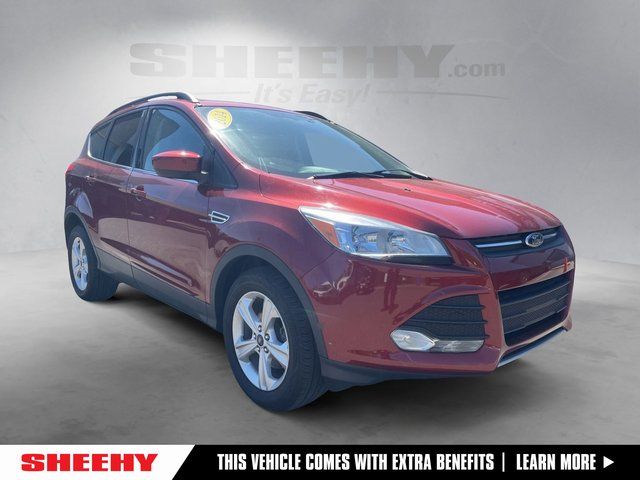 2014 Ford Escape SE's photo