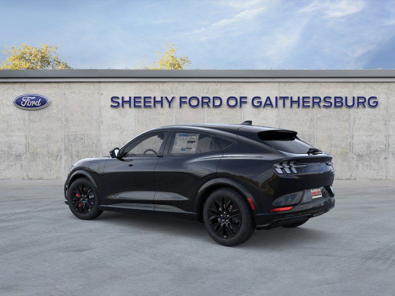 New 2025 Shadow Black Ford Premium image 4