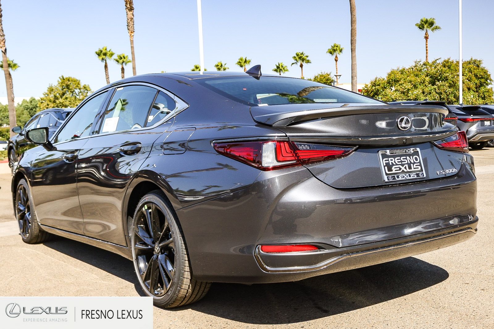 New 2025  Lexus 300h F SPORT Design image 4