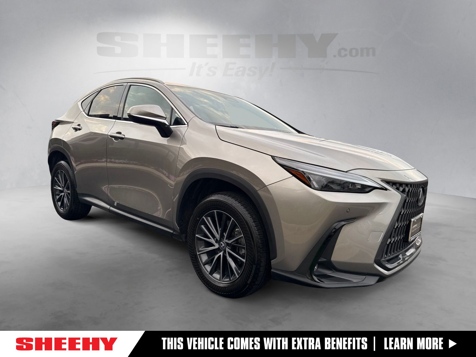 2024 Lexus NX 250 Premium