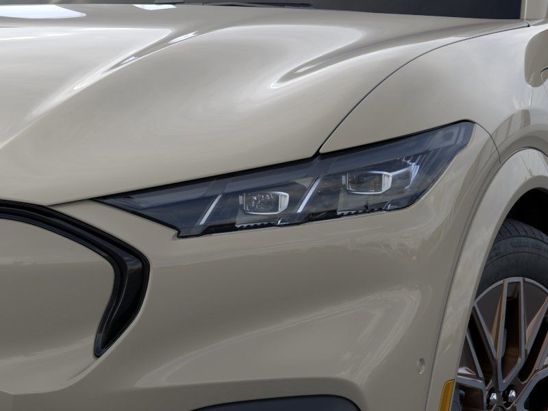 New 2025 Desert Sand Ford Premium image 18