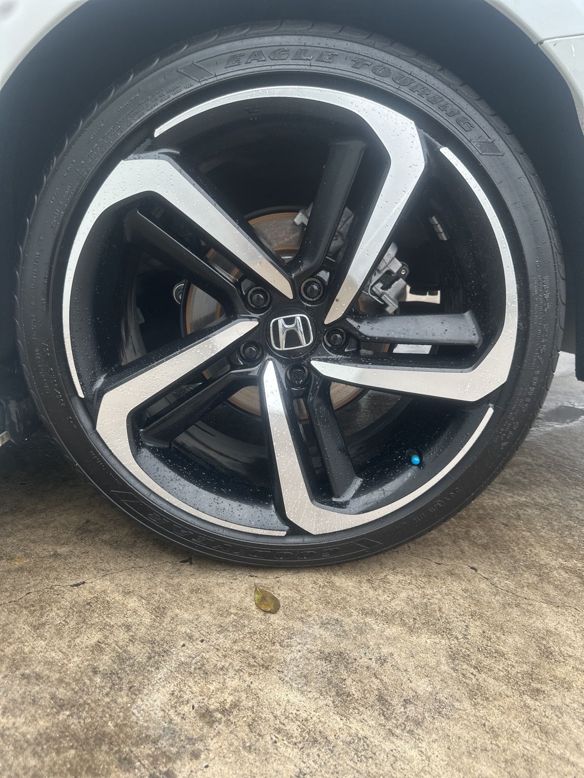 Used Car 2022 Honda Accord  Sport Special Edition For Sale Under $30,000 In Austin, Texas