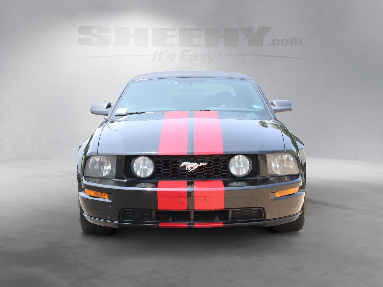Used 2006 Black Ford GT Deluxe image 5