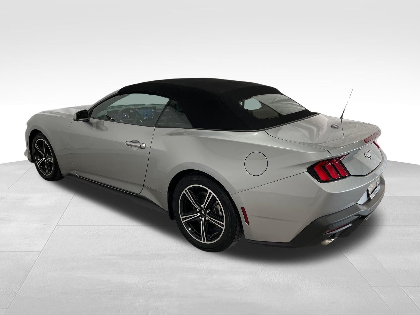 Used Car 2024 Ford Mustang  Ecoboost For Sale Under $35,000 In Austin, Texas