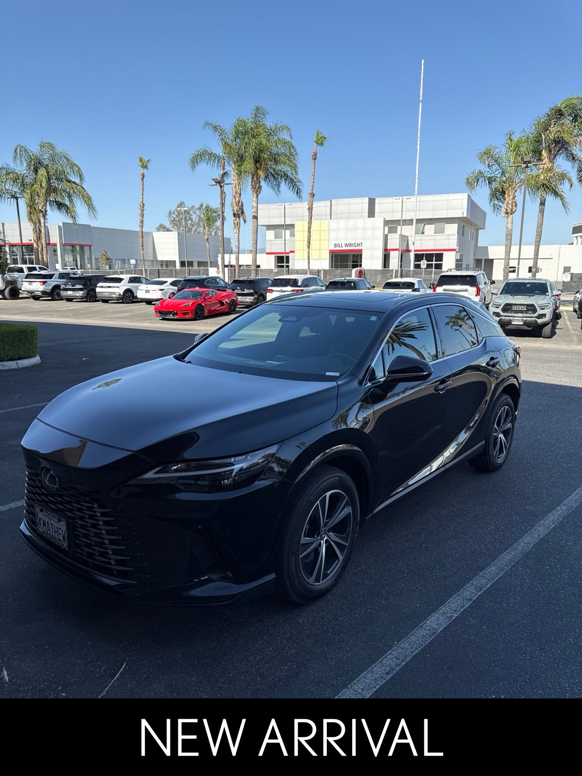 2025 Lexus RX 350