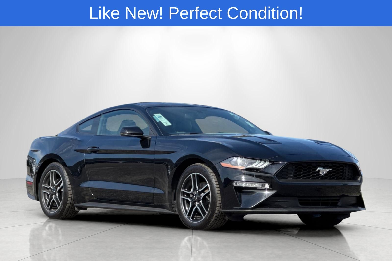 2020 Ford Mustang EcoBoost Premium Coupe RWD