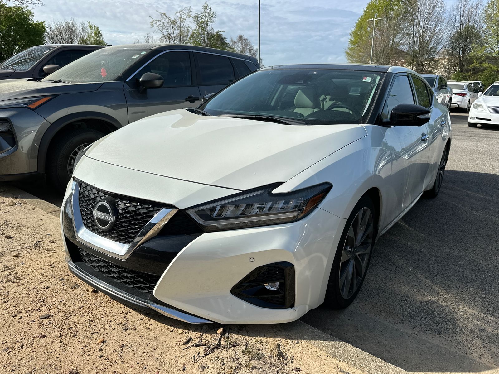 Pearl White Tricoat 2023 Nissan Maxima Platinum FWD Sedan Front-Wheel Drive Continuously Variable Transmission