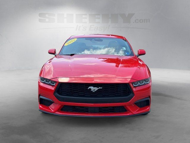 Used 2025 Race Red Ford EcoBoost Premium image 15