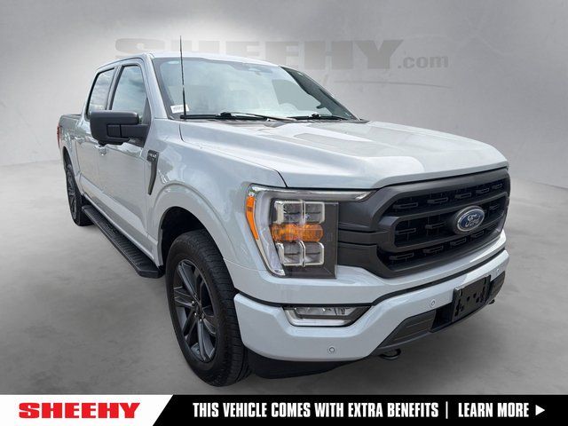 Avalanche 2023 Ford F-150 Pickup Truck Four-Wheel Drive Automatic