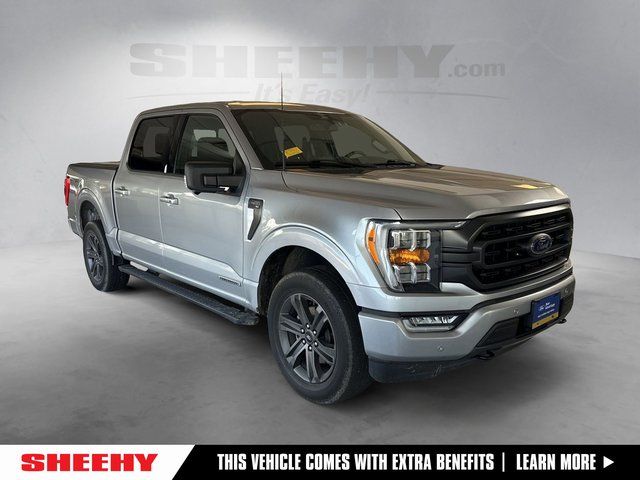 2023 Ford F-150 XLT 4x4 SuperCrew 5-1/2 Box's photo