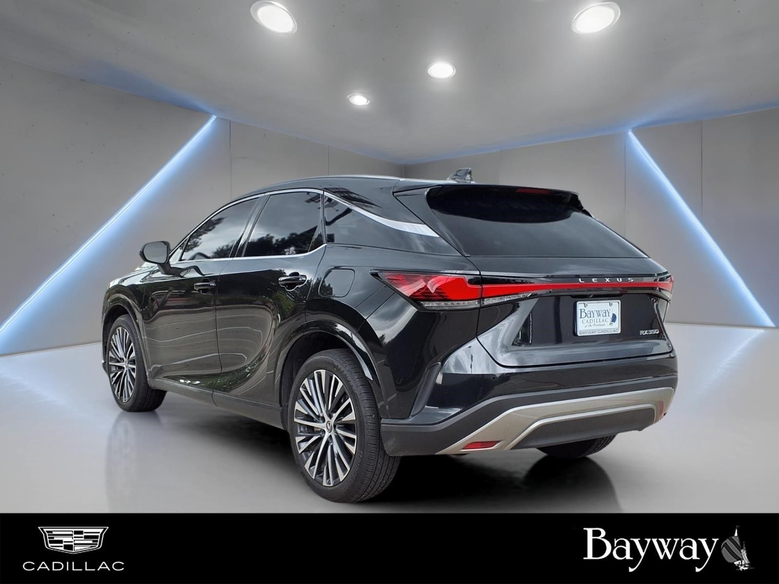 2023 Lexus RX 350 Premium Plus - 8